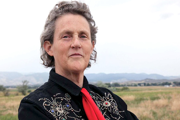 Come funziona la mente di una persona autistica. Temple Grandin