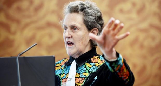 I consigli di Temple  Grandin per gli insegnanti