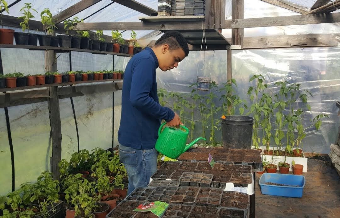 Istruzione e formazione professionale per adulti autistici: confronto tra leggi nazionali e migliori pratiche