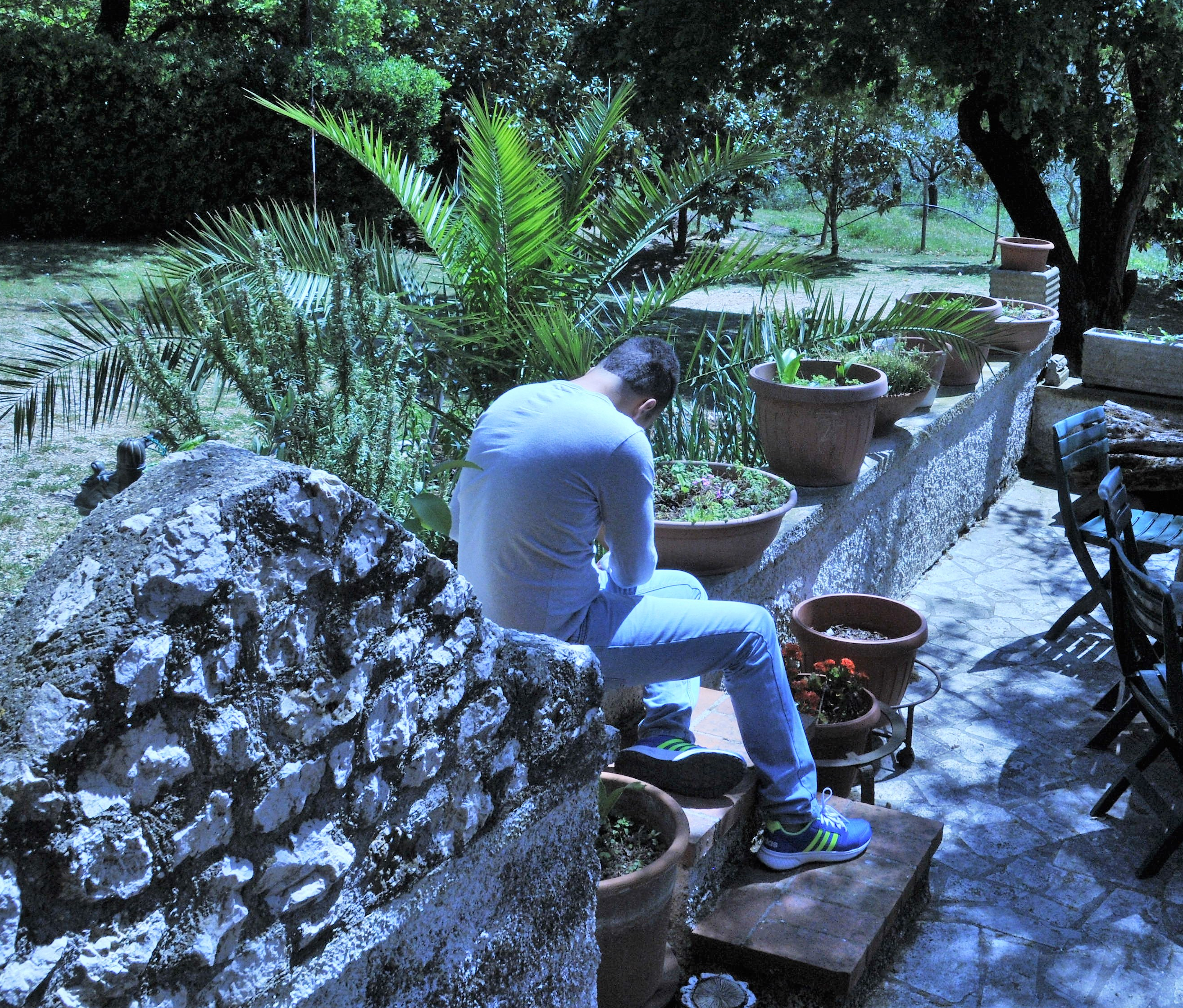 Terapia medica per ridurre comportamenti sessuali inappropriati in un adolescente autistico