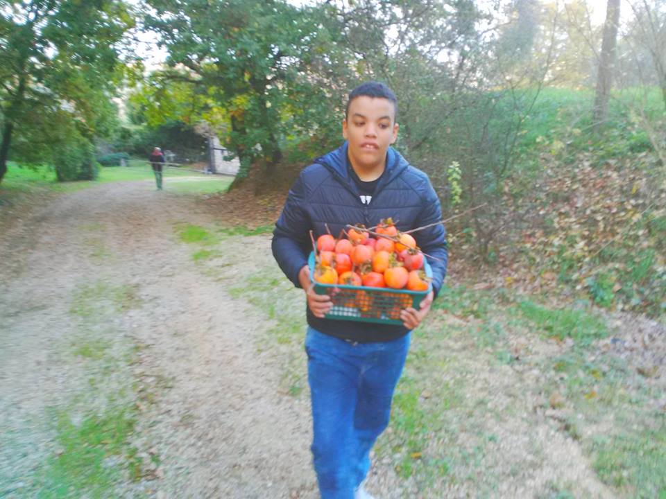 Alcuni possibili mestieri per le persone autistiche