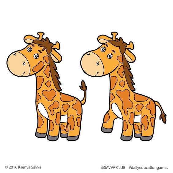 Schede trova le differenze