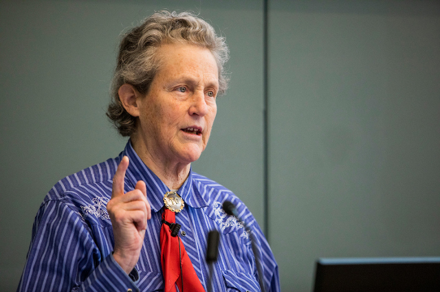 I consigli di Temple Grandin. Idee per trovare buoni lavori