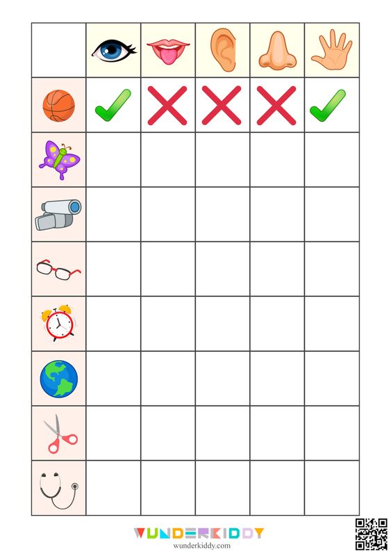 Schede di attenzione e percezione visuale