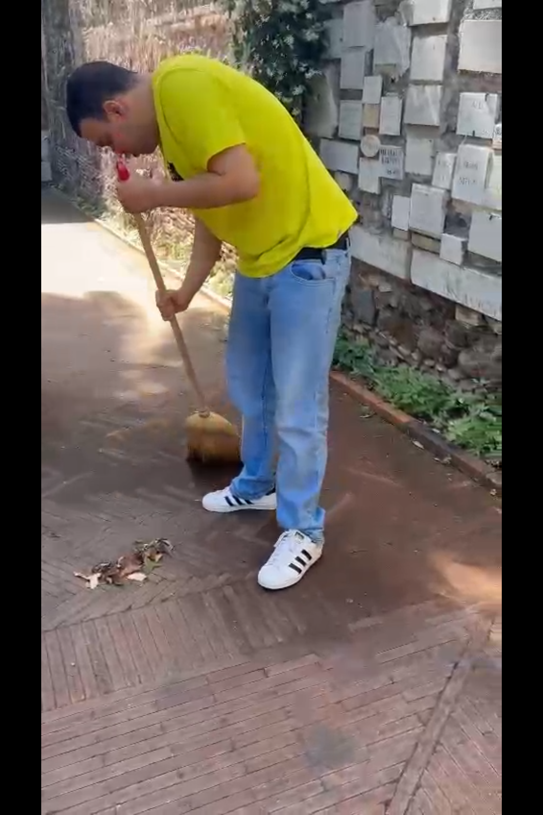 I primi giorni lavorativi di Ares: la pulizia del giardino